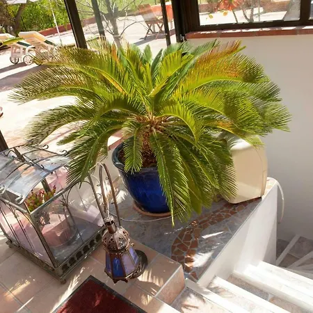 فندق مبيت وإفطار Ferme En Rocache
